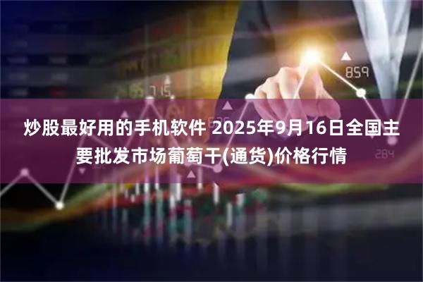 炒股最好用的手机软件 2025年9月16日全国主要批发市场葡萄干(通货)价格行情