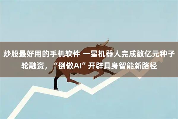 炒股最好用的手机软件 一星机器人完成数亿元种子轮融资，“倒做AI”开辟具身智能新路径
