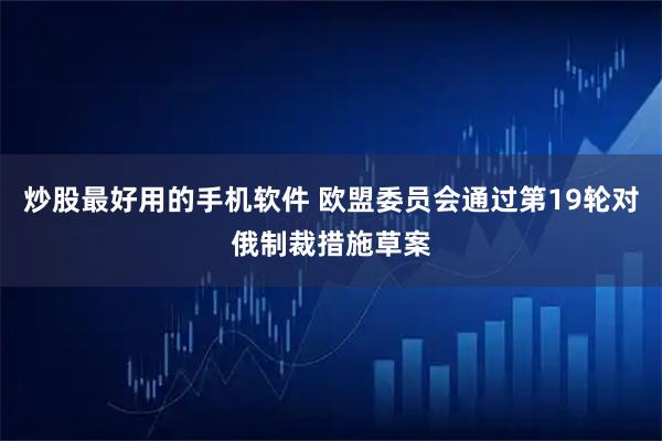 炒股最好用的手机软件 欧盟委员会通过第19轮对俄制裁措施草案
