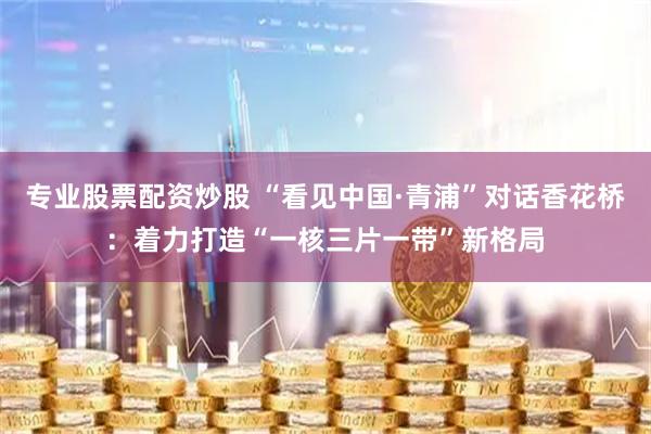 专业股票配资炒股 “看见中国·青浦”对话香花桥：着力打造“一核三片一带”新格局
